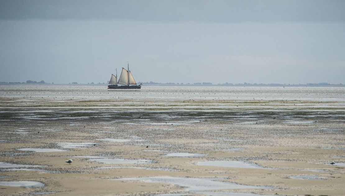 The Wadden Sea is unique - Wadden.nl