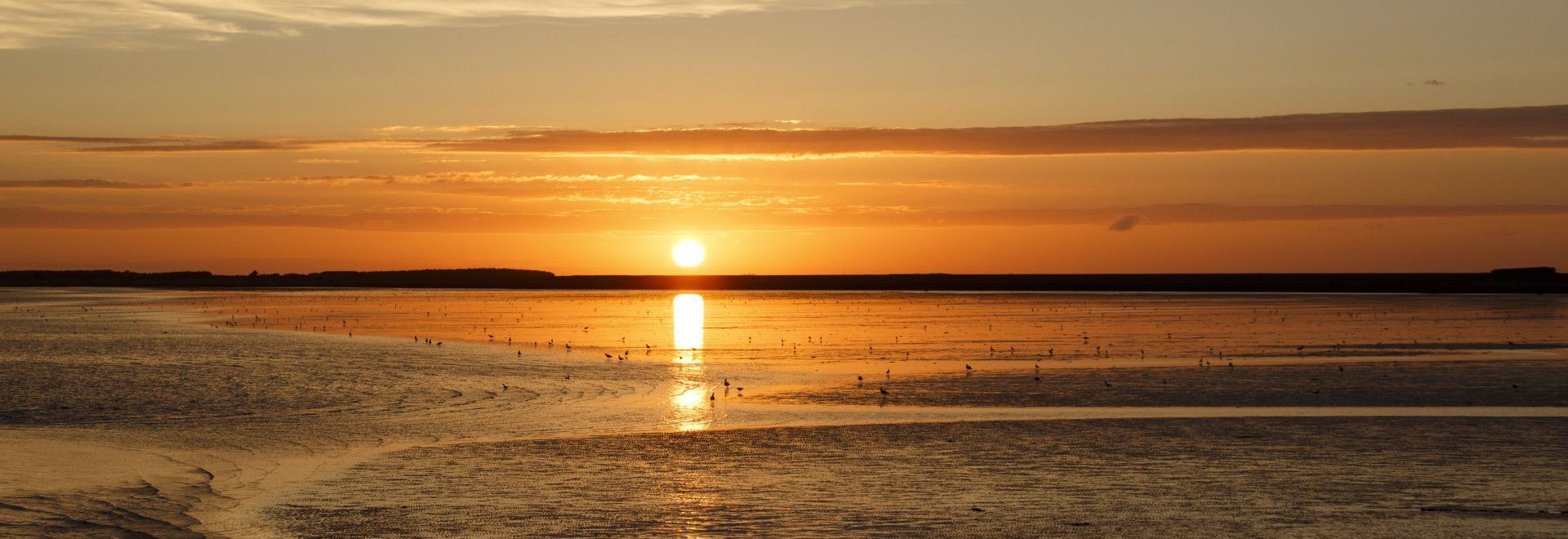 Enjoy the wadden islands!