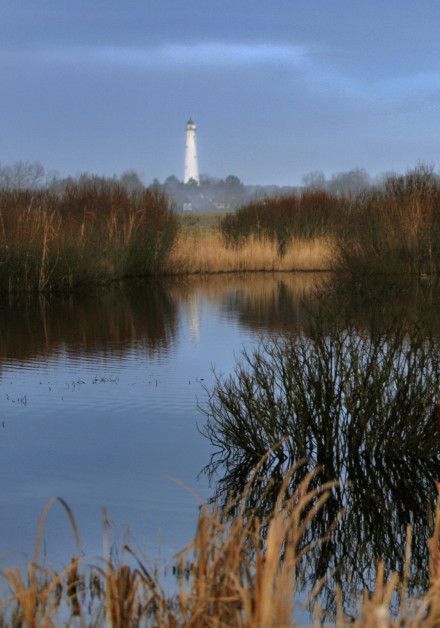 View all autumn activities on the Wadden island Schiermonnikoog