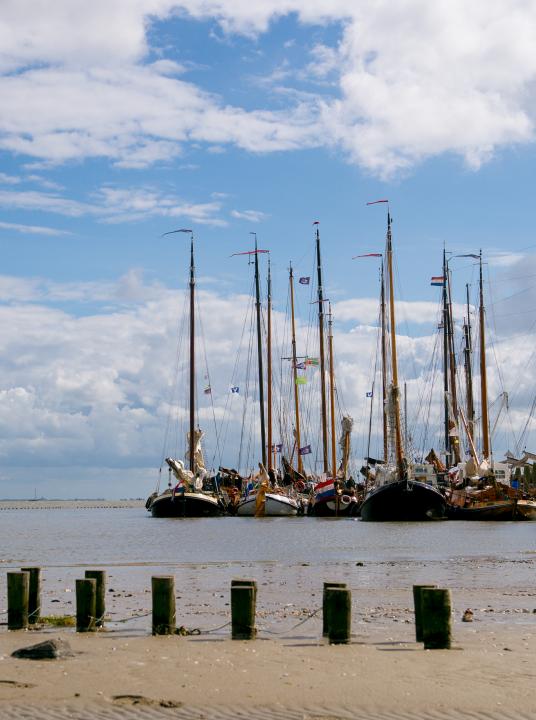 Mudflat hopping makes your holiday very special! - Wadden.nl