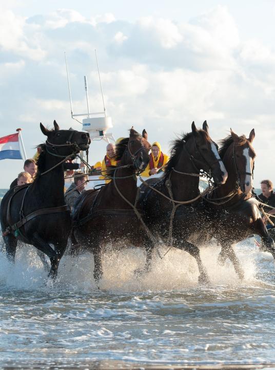 Demonstration horse-drawn rescue boat - Wadden.nl - VVV Ameland