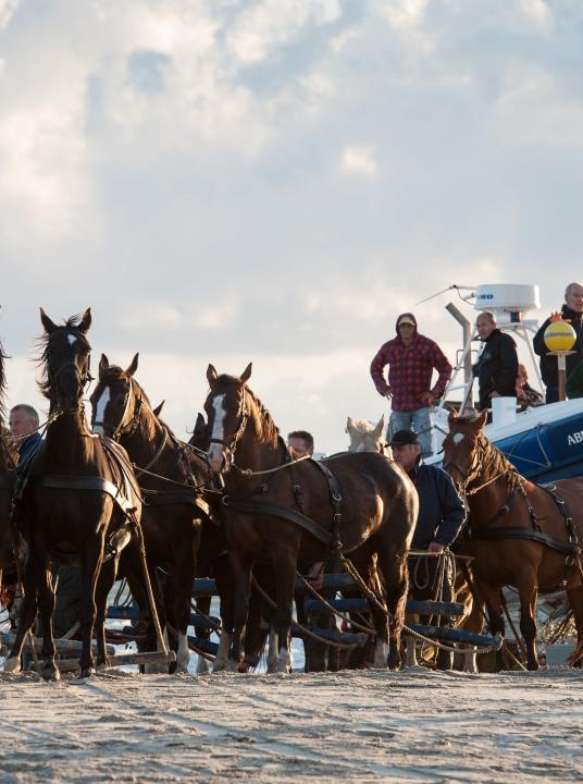 Demonstration horse-drawn rescue boat - Wadden.nl - VVV Ameland