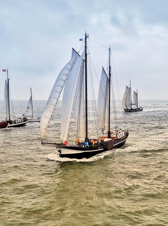 Calendar Wadden islands, this is something you have to experience! - Wadden.nl