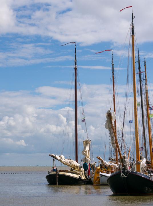 Waddenhoppen - Wadden.nl