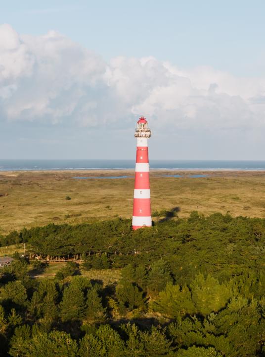 Über uns - Wadden.nl