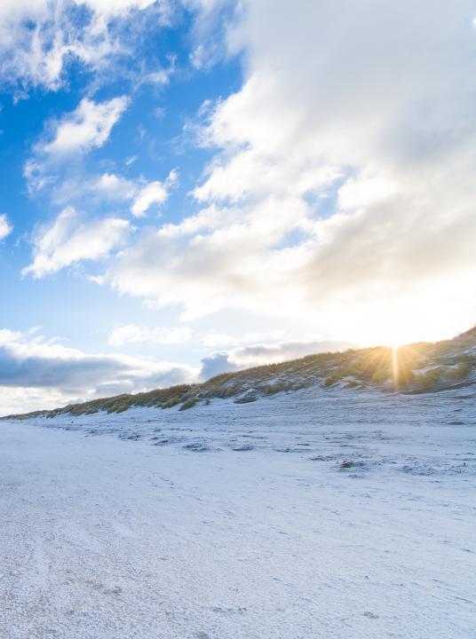 Enjoy the holidays on the Wadden islands! - Wadden.nl