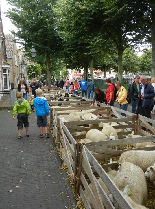 Livestock market - VVV Terschelling - Wadden.nl