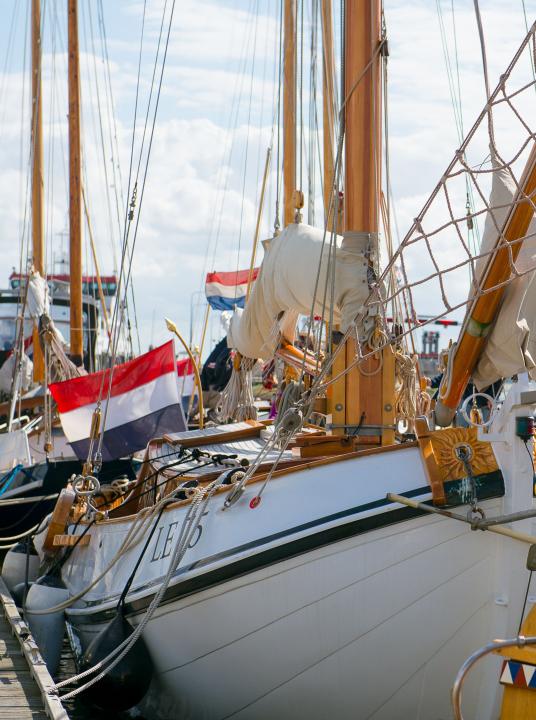 Wadden webcams - Wadden.nl